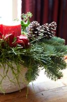 Christmas arrangement - Hedera helix arborescens, Pinus strobus and Simmia japonica
 