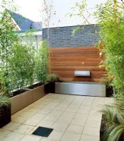 Modern roof terrace with waterfeature and metal planters planted with Bamboo