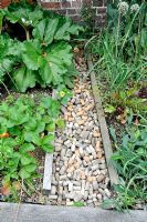 Recycled cork path in between vegetable beds - Old Palace Lane Allotments, Richmond upon Thames Surrey, UK