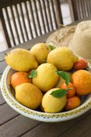 Bowl of lemons and oranges on garden table 