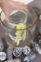 Making winter flower arrangement with Pine cones and glass beaker