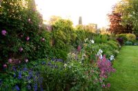 Long border with Irises, hardy Geraniums, Centurea montana, Centranthus ruber and Rosa - Whalton Manor Gardens, Whalton, Northumberland, UK