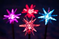 Coloured star solar powered Christmas lights at night