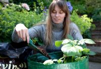 Woman topping up Potato growing bag with multi-purpose compost, foreground focus