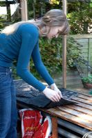 Woman clearing greenhouse in spring - removing black polythene from staging