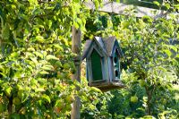 Wooden birdbox hanging next to Malus domestica