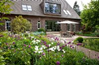 Terrace with garden furniture and parasol. Planting includes - Brunnera, Buxus, Magnolia, Tulipa 'Negrita' and Tulipa 'White Triumphator' - Jens Tippel