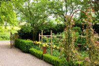 The potager is separated from the gravel driveway by clipped box hedges in different heights and an arch with roses. Planting includes - Amelanchier, Buxus, Rosa and Tulipa 'Yellow Spring Green' - Jens Tippel
