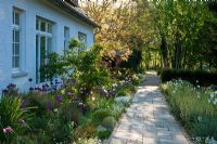 Flagstone paved pathway with mixed plantings along the house - Amelanchier, Arabis procurrens, Juglans regia, Taxus baccata, Tellima grandiflora, Tulipa 'Negrita' and Tulipa 'White Triumphator' - Jens Tippel