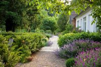 Pahtway of gravel and flagstone, planting includes - Geranium 'Sirak', Hydrangea arborescens 'Annabell', Juglans regia, Nepeta 'Six Hills Giant' Faassenii-Gruppe and Taxus baccata - Jens Tippel