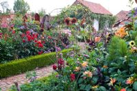 Formal cutting garden with Dahlias and Annuals - Ulting Wick, Essex