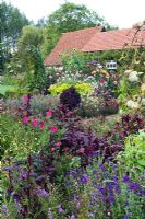 View across cutting garden with Dahlias and Annuals - Ulting Wick, Essex
