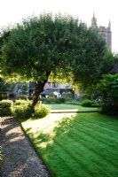 View to house and church tower with lawn, gravel path and old Apple tree -  Barnwells, Cerne Abbas, Dorset.