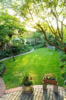 A secluded town garden with lawn, ancient Apple tree with wooden prop, garden seat and intensively planted borders and beds - Meredith Lloyd-Evans, Barnabas Road, Cambridge.
