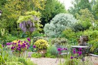 Seating area with gravel. Wisteria and Allium 'Purple Sensation' in borders - Wickets, Essex NGS
