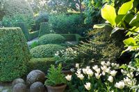 Formal style, Mediterranean garden with clipped yew hedges and Tulips - Madrid, Spain 