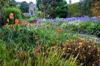 Borders of Kniphofia, Crocosmia and Agapanthus in the walled garden at Logan Botanic Garden, Dumfries and Galloway, Scotland