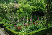 View of formal town garden with Buxus - Box edging, Rosa 'Meg' growing on arches over paths. Dianthus - Sweet Williams and Digitalis - Foxgloves - Rhadegund House, New Square, Cambridge 
