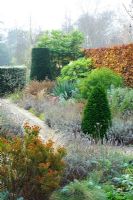 Box and Yew topiary, Beech hedge, Lavenders beside path, Choisya, Fatsia japonica, Mahonia 'Winter Sun', Erica terminalis in foreground - The Dry Garden, University of Cambridge, Botanic Garden