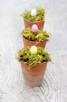 Chocolate Easter eggs in moss lined terracotta pots