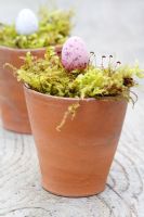 Chocolate Easter eggs in moss lined terracotta pots