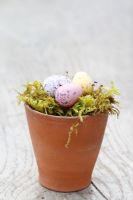 Chocolate Easter eggs in moss lined terracotta pot 