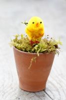 Artificial chick in moss lined terracotta pot 
