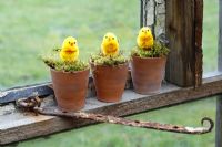 Artificial chicks in moss lined pots on a greenhouse windowsill