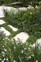 Path detail with integral planting - 'Trailfinders Australian Garden presented by Flemings Nurseries' RHS Chelsea Flower Show 2011 