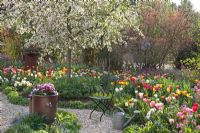 Tulipa, Lunaria annua, Brunnera macrophylla and Malus 'Red Sentinel' - Imig-Gerold Garden