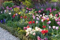 Beds of Tulipa, Narcissus and Lunaria annua - Imig-Gerold Garden