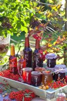Tray with conserves and drinks made from Elderberries, Rose hips, Crabapples, Cherries and Rowan berries