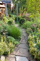 Path running through small garden - Marx Garden