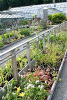 Nursery at Cally Gardens, Gatehouse of Fleet, Scotland