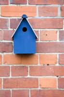 Bird house on garden wall