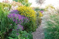 Gravel pathway through borders of Rudbeckia triloba, Miscanthus sinensis and Aster - Jacobs Nursery