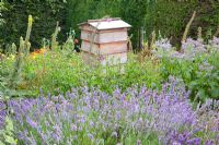 Beehive and lavender in kitchen garden 