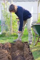 Woman planting asparagus - Create a trench 40cms wide, or at least wide enough to spread the roots of the crown out