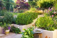 View from patio to path in terraced urban garden to raised beds and Cercis canadenis 'Forest Pansy' Bronze bird bath on wooden pedestal
