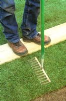 Making a lawn from turf. Firming with a rake whilst standing on a wooden board to protect grass
