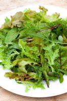 Summer baby leaf salad leaves on a plate. Wild rocket, Mustard, Sorrel, Lettuce, Carrot leaf