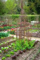 The vegetable garden at Perch Hill in spring. Twig obelisks and supports for climbers