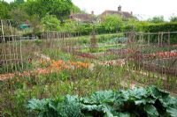 The vegetable garden at Perch Hill in spring. Rhubarb in the foreground