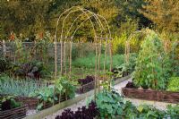 The vegetable garden at Perch Hill in early autumn. Raised beds edged with woven hazel fences. Rustic arches, beans, perilla, salsify.