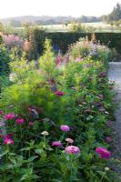 The cutting garden at Perch Hill in early autumn. Zinnias, cosmos, cleome and scabious. Green wire mesh support