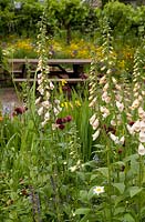 RHS Chelsea Flower Show 2007, The Fetzer Sustainable Winery Garden, Designer Kate Frey, 