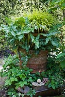 Old chimney pot filled with Hakonechloa macra 'Aureola' and Arum italicum, underplanted with Alpine Strawberries 