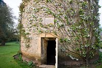Circular pigeon house dating from 1685, with trained fruit trees curving around its wall. Rousham House