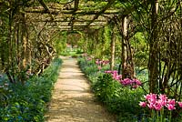 Pergola in the Walled Garden underplanted with Tulipa 'Ballade' and Brunnera macrophylla, while later in the season it is covered with Rosa filipes 'Kiftsgate', Rosa 'Wedding Day', Rosa 'Alberic Barbier' and Wisteria - Rousham House, Bicester, Oxon, UK