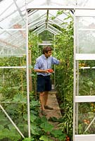 Fergus collecting cherry tomatoes in the glasshouse - Yews Farm, Martock, Somerset, UK